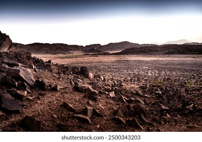 2019伊人查蕉在线观看