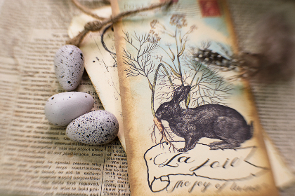 男人的天堂视频