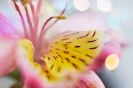 抖阴成年app国际版