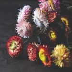 拇指影院 b6d3wzu