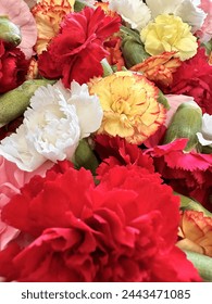 男人的在线私人福利院