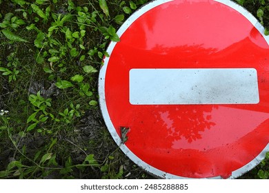 2019精品国产品在线网站不卡