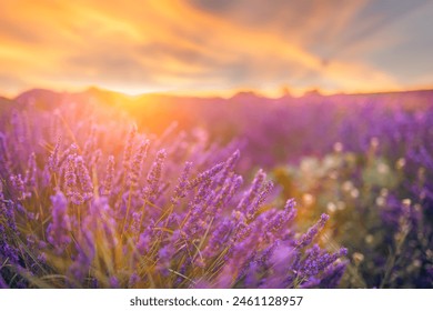 办公室女郎高清视频在线观看