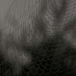 2019手机版光棍影院免费1111 zo2zq4ty