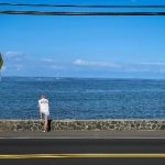 三四娱乐寄养日记:记录每一天的快乐与成长瞬间 1hcz0