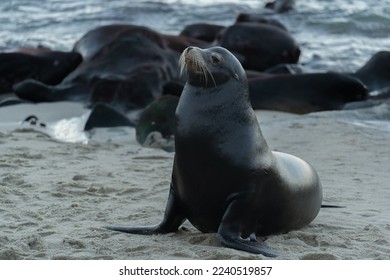 UESTC China：探索电子科技大学的学术成就与创新发展